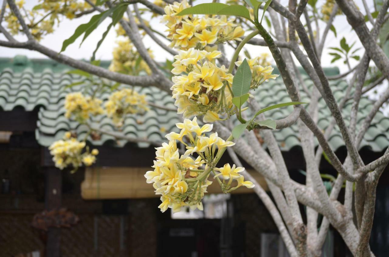 Villa Yukie Senggigi Montongbuwoh Exteriér fotografie